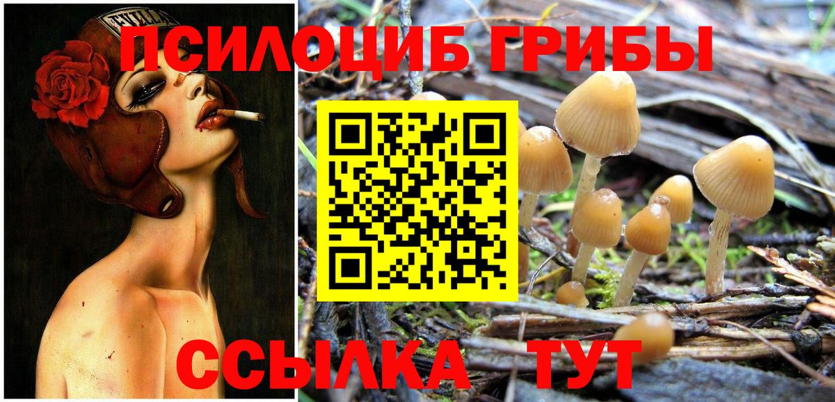 Псилоцибиновые грибы ЛСД Феодосия